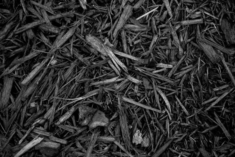 black mulch