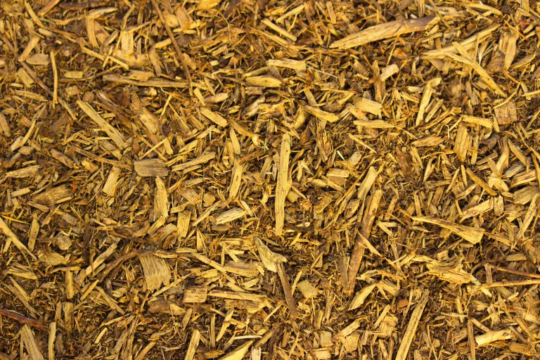 gold mulch